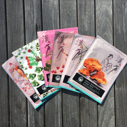 Maskingdom Chinese Medi Set B